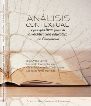 Analisis-contextual-portada.png